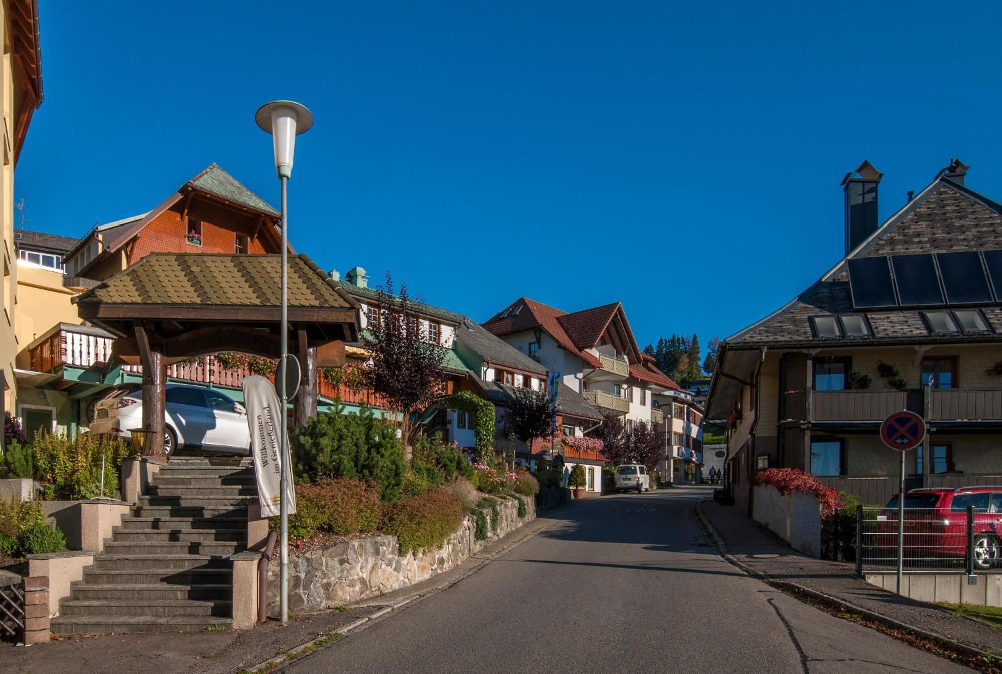 Apartment 06 - Ferienresidenz Roseneck, 2 Schlafzimmer, Mit Schwimmbad In Todtnauberg Bei Feldberg Esterno foto